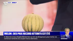 Melon: des prix record atteints cet été - 21/08