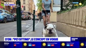 Lyon : "Pet-sitting", le concept en vogue