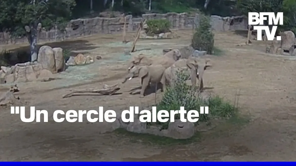 placeholder video