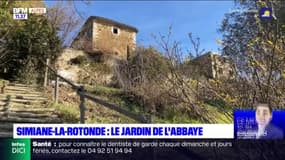 Simiane la Rotonde : le jardin de l'abbaye de Valsaintes se réveille
