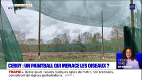 Base de loisirs de Cergy: une nouvelle zone de paintball est décriée