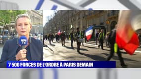 Gilets Jaunes: Gaëlle James, secrétaire nationale du syndicat Synergie Officiers, craint une "convergence" entre les trois manifestations