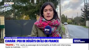 Tempête Ciaran: des vents violents en Île-de-France mais peu de dégâts