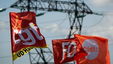 Des drapeaux de syndicats français. Photo d'illustration.