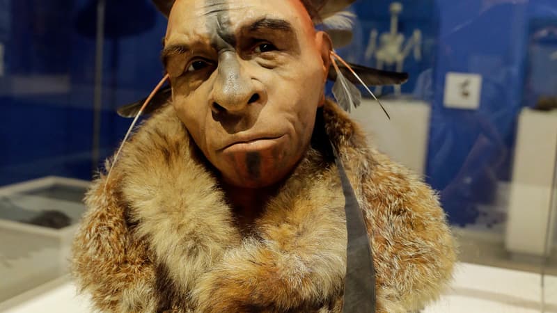 Portrait d'un homme de Néandertal avec une coiffe à plumes, au musée de l'évolution de Burgos, en Espagne. (Illustration)