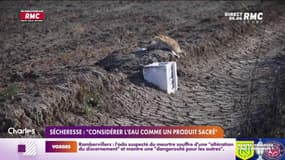 Sécheresse : "considérer l'eau comme un produit sacré" 