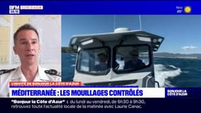 Alpes-Maritimes: la préfecture maritime observe une baisse des infractions