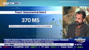 Antoine Hubert (Ynsect): Ynsect lève 190M€ supplémentaires dans l'élevage d'insectes - 07/10