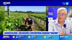 Var Business du mardi 1er juillet - Agroécologie : découvrez l'entreprise varoise "Racine"