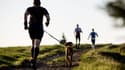 Le Canicross est une course pédestre avec un chien (photo d'illustration).