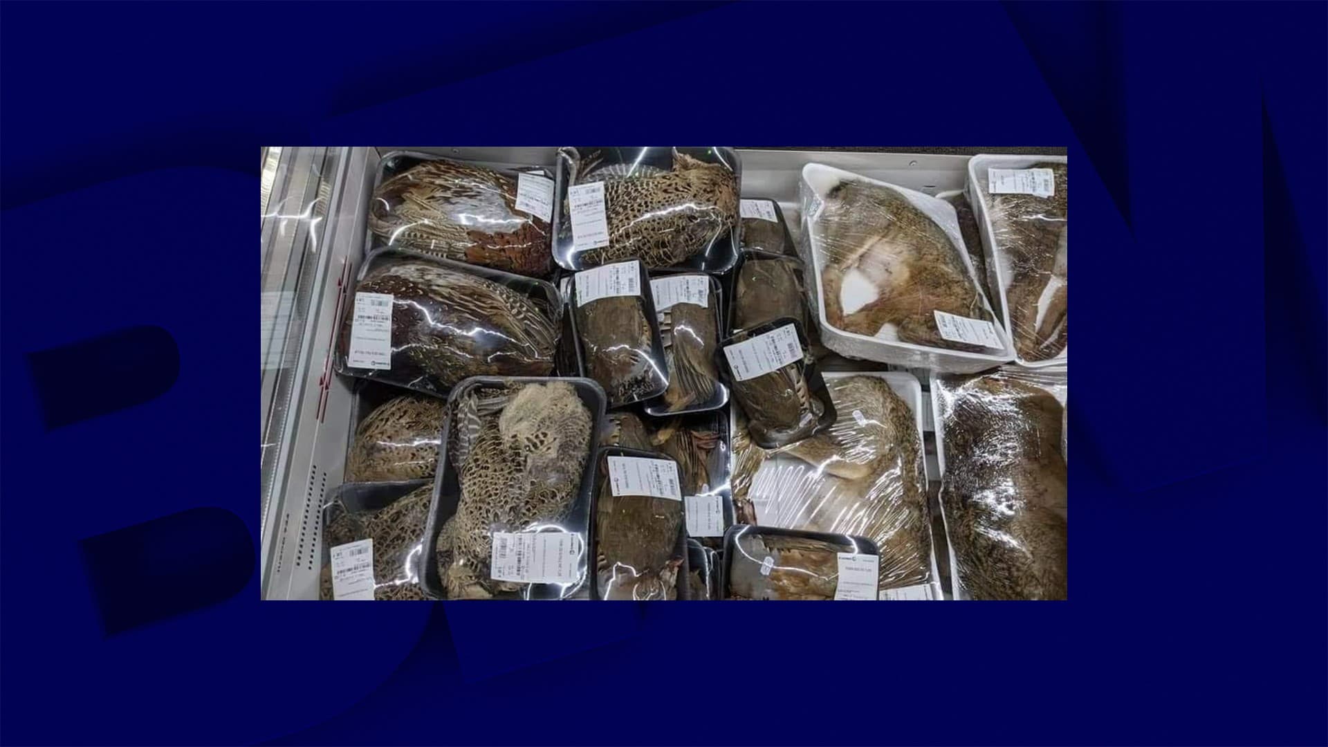 Des faisans entiers ont été emballés dans ce magasin du Vaucluse Des faisans entiers ont été emballés dans ce magasin du Vaucluse