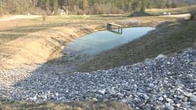 Une bassine d'eau