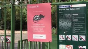 "Stop aux rats !" Le square des Batignolles ferme pendant un mois pour éradiquer les rongeurs