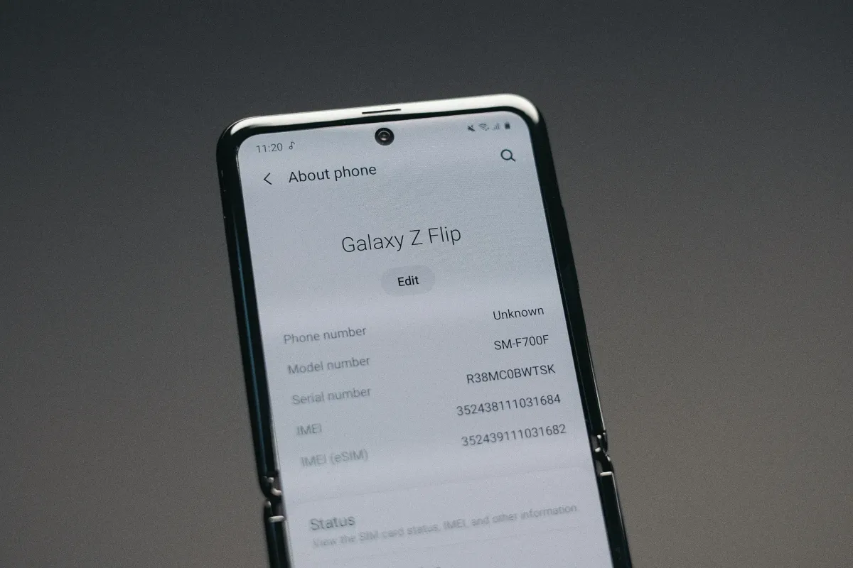 placeholder video