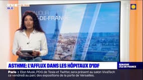 Ile-de-France: l'afflux dans les hôpitaux de personnes souffrant de crise d'asthme