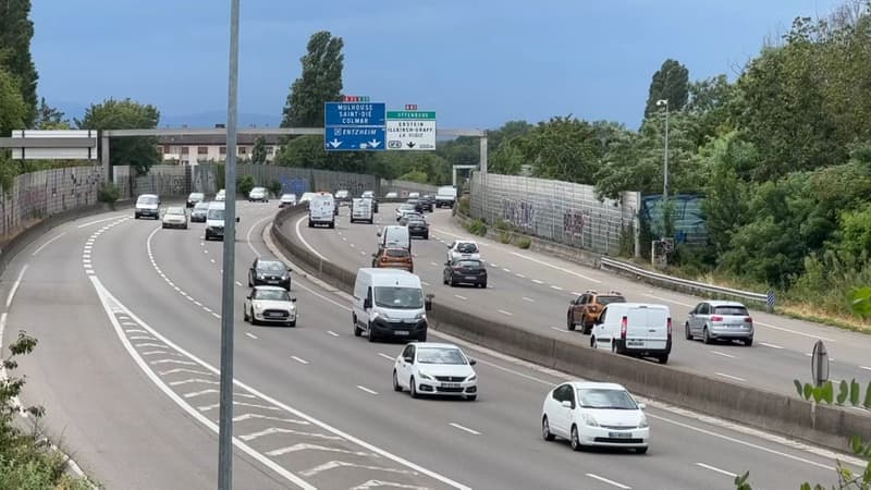 La M35 en Alsace 