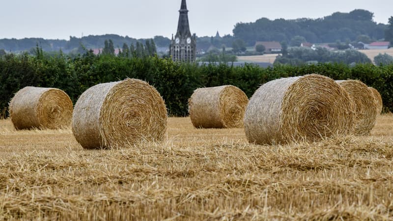 Des bottes de foin (photo d'illustration)