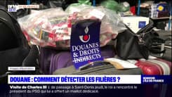 Flagrants Délits: les découvertes insolites des douaniers de l'aéroport de Roissy