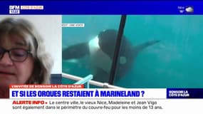 L'association "C'est assez" préfère que les orques restent à Marineland