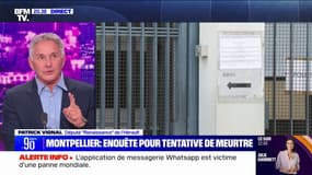 Collégienne agressée à Montpellier: "Ce quartier n'est pas plus difficile que les autres", affirme Patrick Vignal (député Renaissance de l’Hérault)