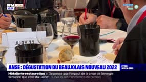 Rhône: dégustation du Beaujolais nouveau 2022 à Anse
