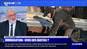 Immigration: vers des quotas ? (2) - 05/11