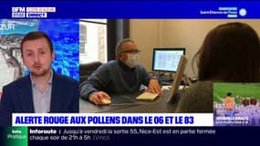 Pollens: les Alpes-Maritimes et le Var en alerte rouge