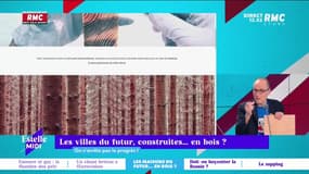C’est quoi le progrès ? : Les villes du futur, construites ... en bois ? - 07/03