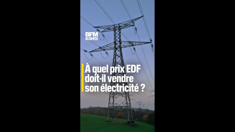 À quel prix EDF doit-il vendre son électricité ?