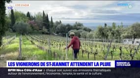 Alpes-Maritimes: les vignerons de St-Jeannet attendent la pluie