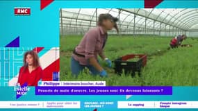 L'intégrale d'Estelle Midi du mercredi 11 mai 2022