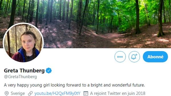 La bannière et la biographie du réseau social de Greta Thunberg.