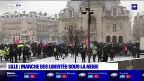 A Lille, une "marche des libertés" sous la neige et dans le calme