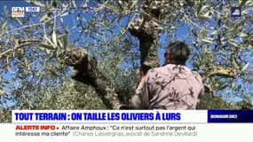 Tout Terrain: on taille déjà les oliviers à Lurs 