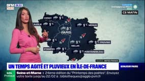 Météo Paris-Île-de-France: un temps agité et pluvieux, jusqu'à 10°C à Paris