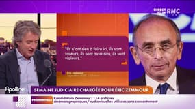 Nicolas Poincaré : Semaine judiciaire chargée pour Éric Zemmour - 17/01