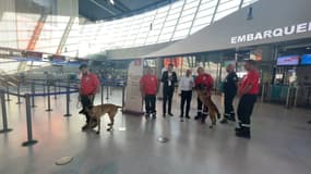  Cinq bénévoles et quatre chiens spécialisés se rendent au Maroc pour apporter leur aide au secours.