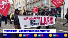 Strasbourg: manifestation pro-Palestine 