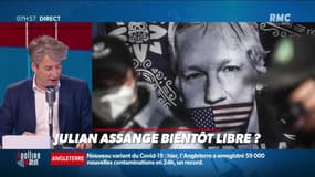 Nicolas Poincaré : Julian Assange bientôt libre ? - 05/01