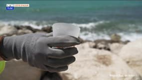Région Sud en action ! du vendredi 27 juin 2025 - Comment protéger la mer Méditerranée ?