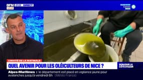 Qu'est-ce qui fait une bonne huile d'olive?