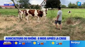 Agriculteurs du Rhône: huit mois après la crise