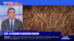 La Russie accusée de voler du blé en Ukraine pour le vendre