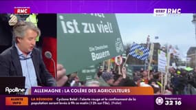 Expliquez-nous - Allemagne : La colère des agriculteurs 