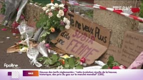 Féminicide de Mérignac: l'IGPN confirme une succession de fautes professionnelles