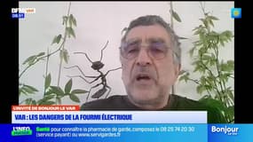 L'invité de Bonjour Var du jeudi 29 janvier 2026 - Luc Gomel