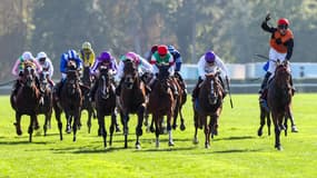 Les pronos hippiques du 12 juin 2025