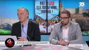 Affiches pro-TGV: "Robert Ménard est violent. Ce type doit être condamné !"