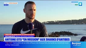 "Je suis là pour remplir une mission": l'ambition d'Antoine Eito aux Sharks d'Antibes