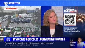 Colère des agriculteurs: où en est le mouvement en Europe? BFMTV répond à vos questions